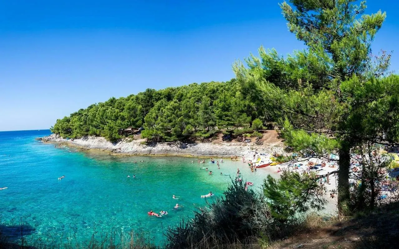 Kontakt z Amazing Luxury Apartment 200 M From The Beach